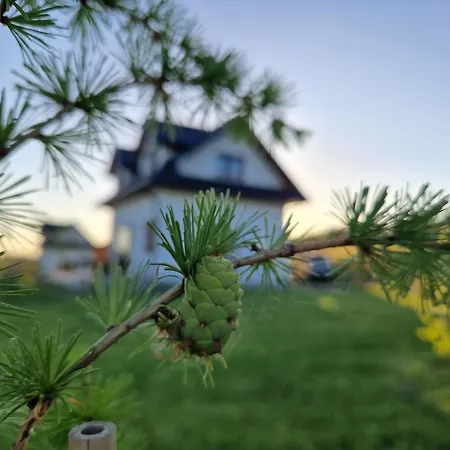 Vakantiehuis Dziewiecsil &chaber _domki Blisko Lasu