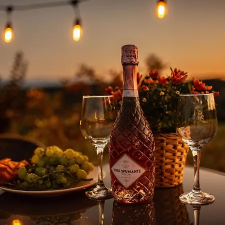 Dziewiecsil &chaber _domki Blisko Lasu Grywald