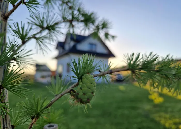 度假居 Dziewiecsil &chaber _domki Blisko Lasu